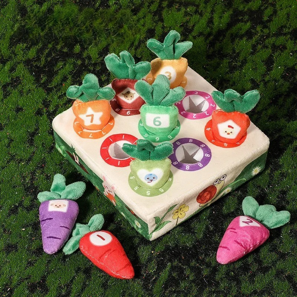 Sensory Carrots – Føle og høste - Sensorisk legetøj