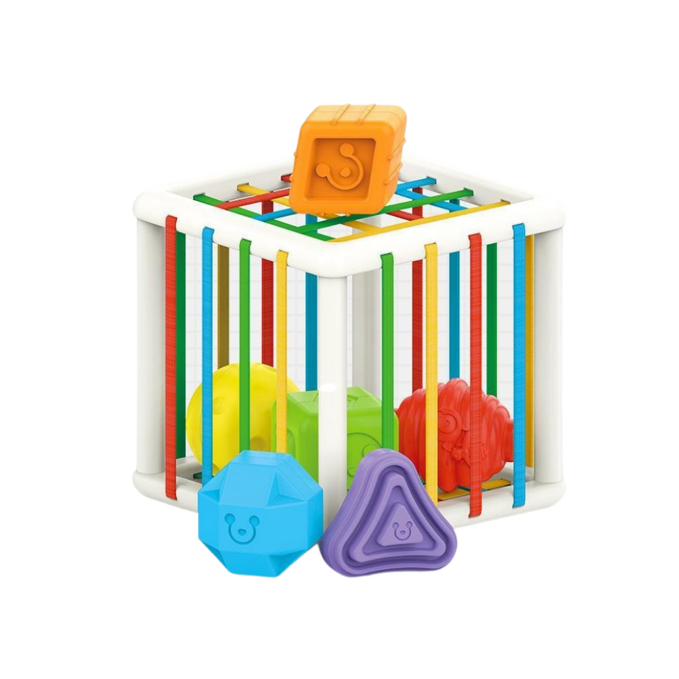 Sorting Cube™ - Sorteringsterning - Terning til undervisning