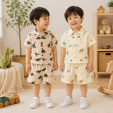 Dinosaur & Car Print Outfit – Cool & Verspielt – Sommer-Outfit