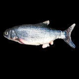 DreamFish™ - Schlaffreundlicher Fisch - Dreamfish