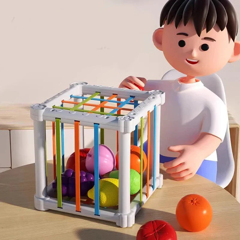 Fruit Box™ - Klip, leg, lær - frugt i æske