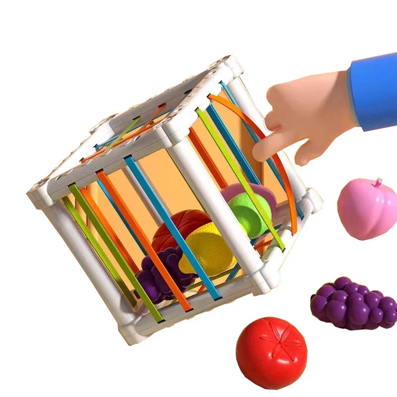 Fruit Box™ - Klip, leg, lær - frugt i æske