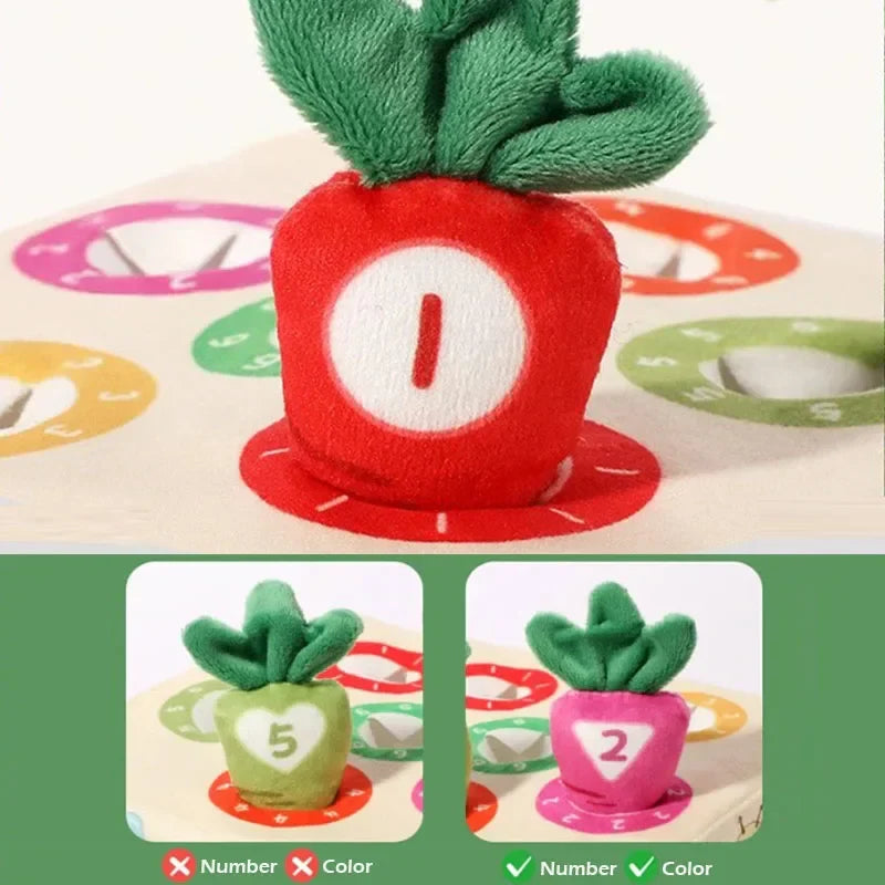 Sensory Carrots™  – Fühlen & Ziehen - Sensorisches Spielzeug