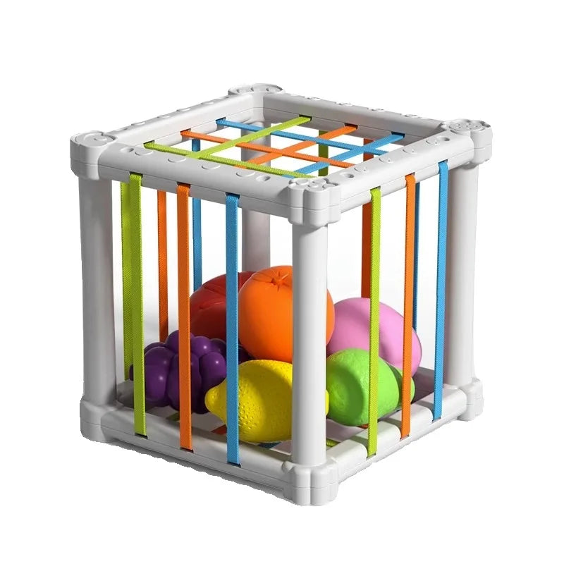 Fruit Box™ - Schneiden, Spielen, Lernen - Obst in der Schachtel