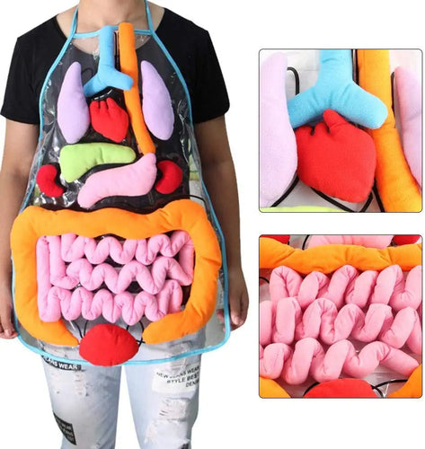 Anatomy Apron™ | Den Körper interaktiv studieren - Organschürze