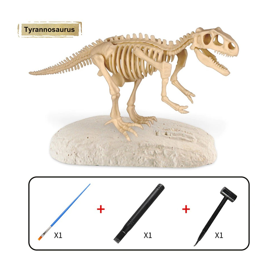 Dino Fossil™ - Graben Sie das Fossil aus - Grabungsset