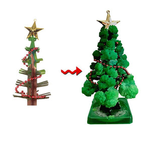 GrowTree™ - Züchte deinen eigenen Weihnachtsbaum! - Weihnachtsbaum-Anbausatz (1+1 GRATIS)